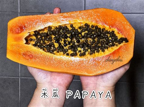 木瓜屬性|木瓜（Papaya）